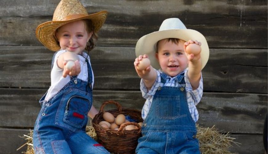 Charm of Rural living