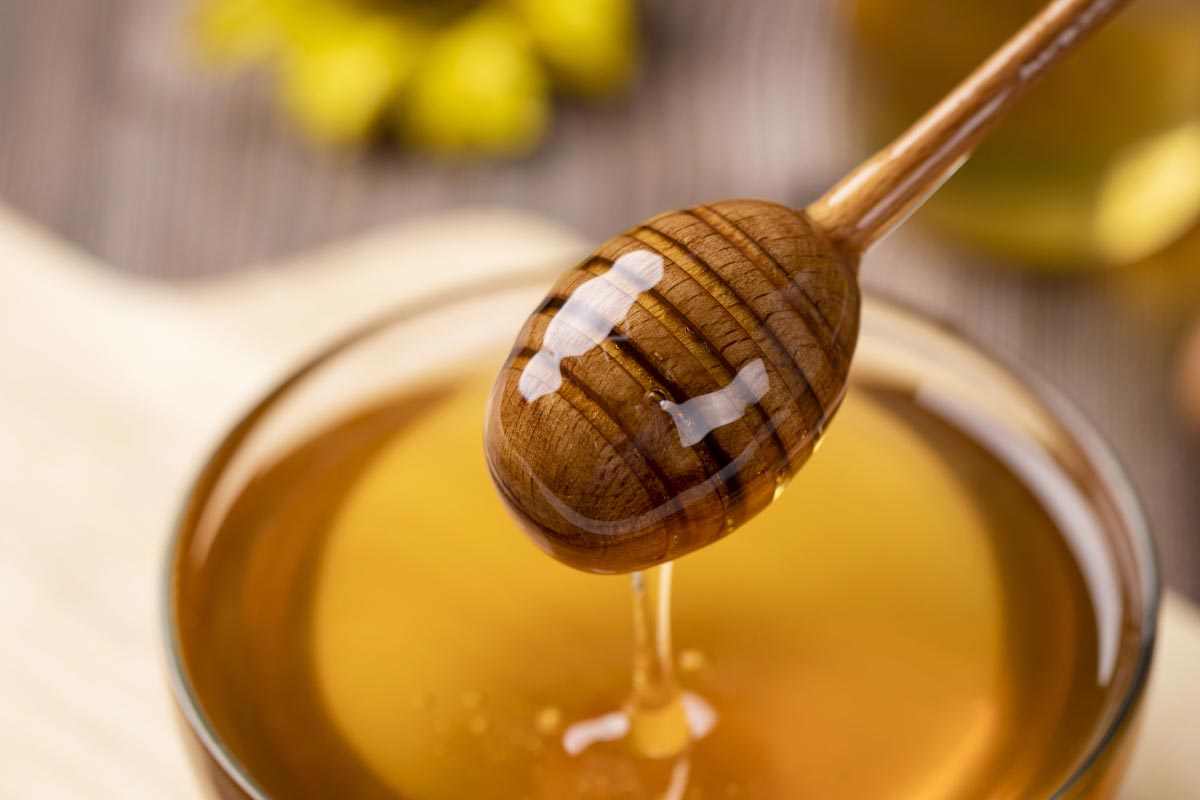 macedonian honey