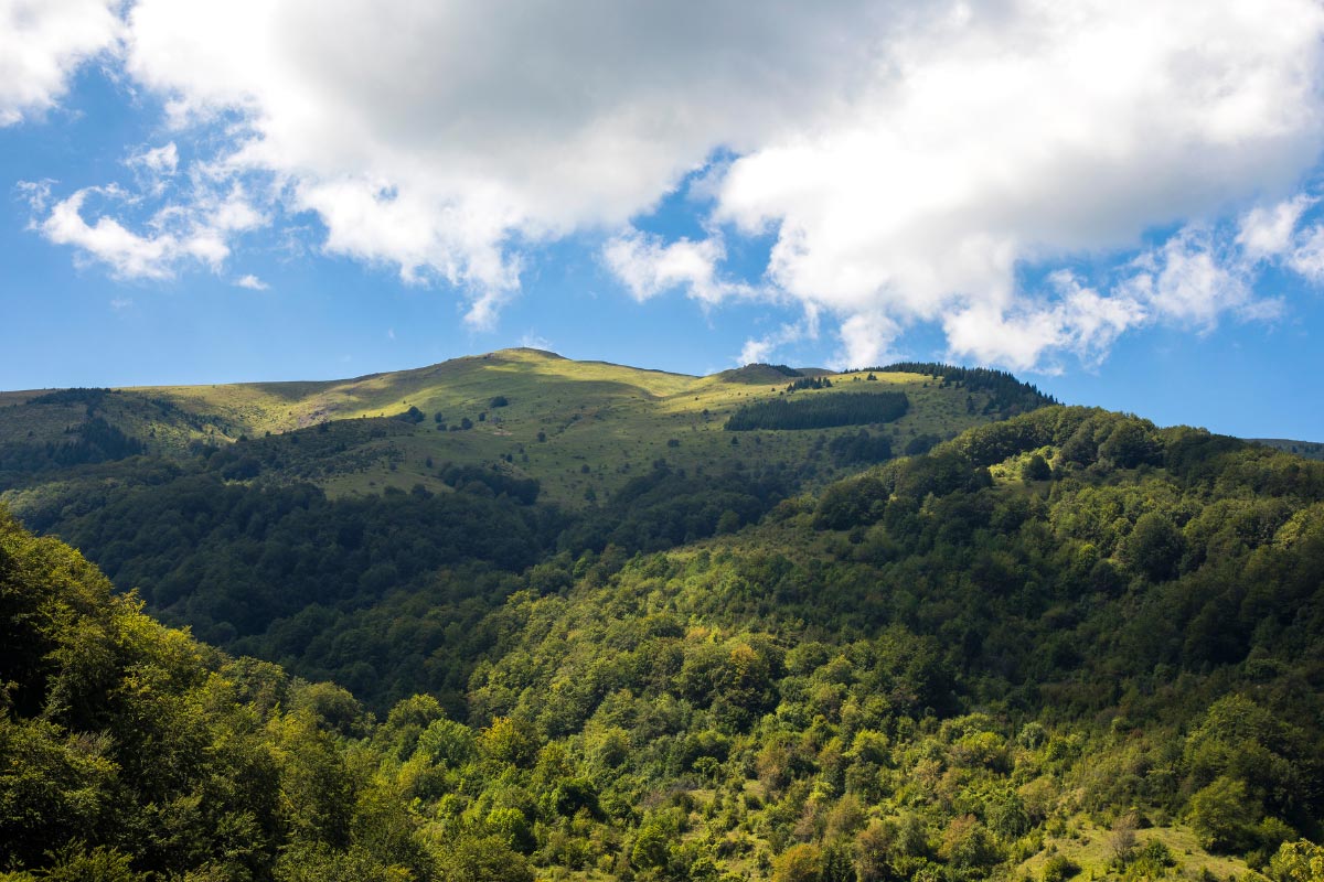 kopaonik