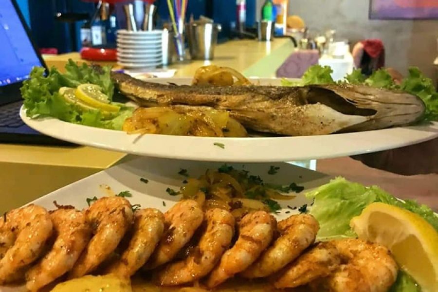 Barka – Fish&Bar: Gatherings are back. And they’re longer and boozier than ever!
