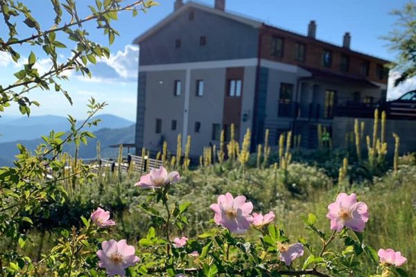 Kosteski Apartments (Ponikva, N. Macedonia)