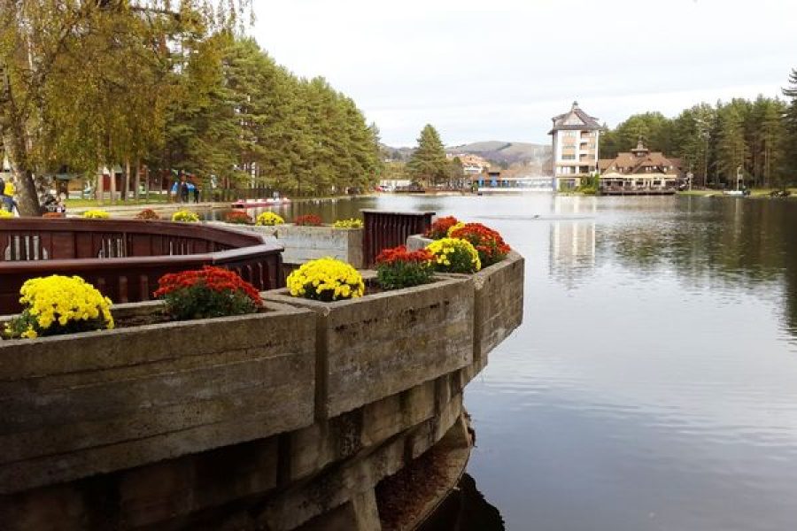 Discover Zlatibor’s Charm in Summer: A Serene Retreat with Apartment Galeb