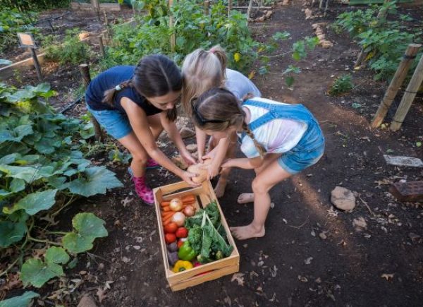 Guesthouse Pirustia Nedanoski (8)