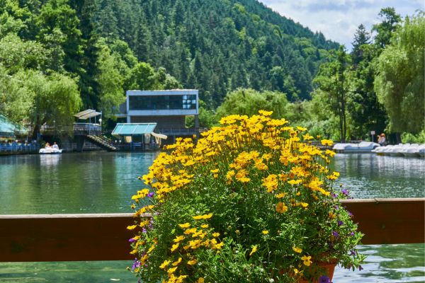 Park "Kleptuza" Velingrad Bulgaria Wellness