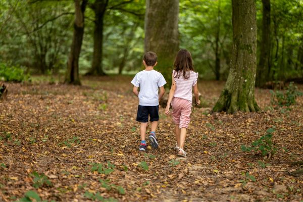 Velingrad walk in the forest
