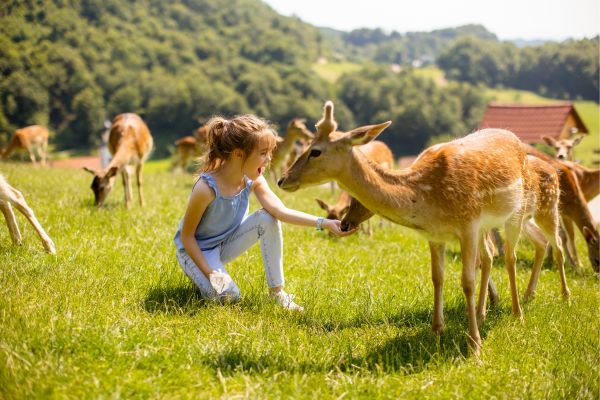 Podčetrtek Jelenov Greben Slovenia