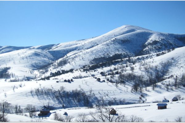 Zlatibor: Snow Among the Golden Pines