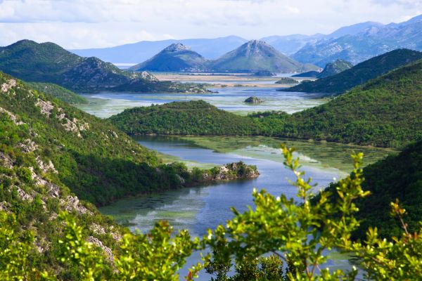 Skadar Lake (Albania)