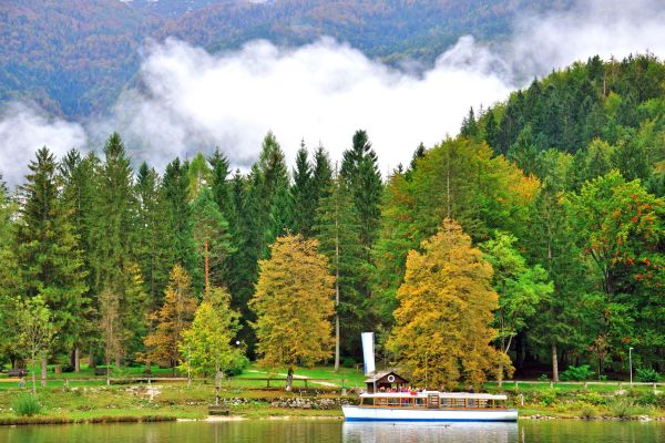 Lake Bohinj
