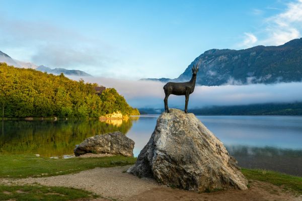 Lake Bohinj