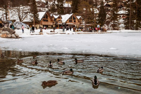 Lake Jasna (Kranjska Gora, Slovenia)