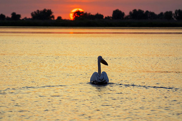 Danube Delta