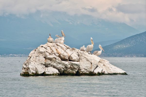 Lake Prespa