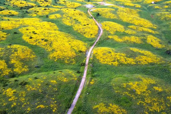 Galicica National Park