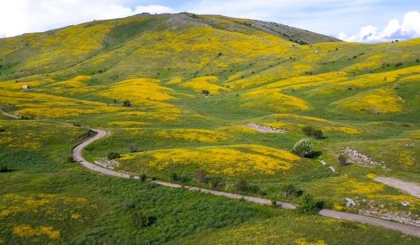 Galicica national Park (N. Macedonia)