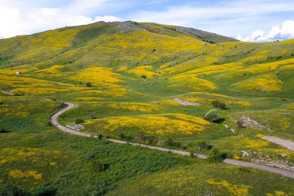 Galicica national Park (N. Macedonia)