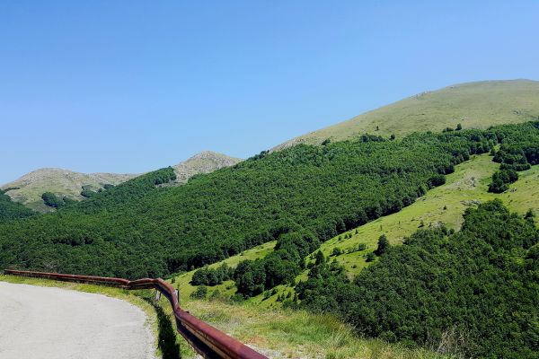Galicica National Park