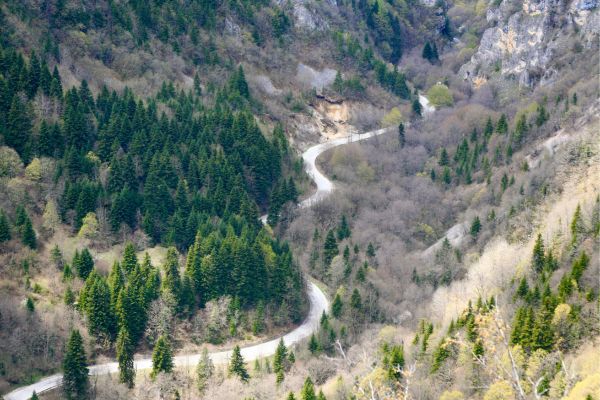 Mavrovo National Park
