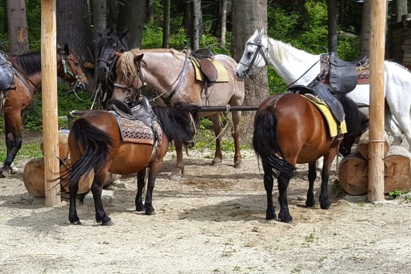 Horse Riding (Borovets)
