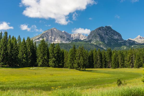 Durmitor National Park