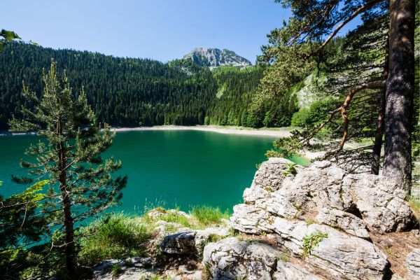 Black Lake (Zabljak, Durmitor)