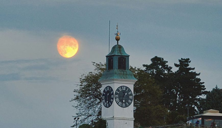 Novi Sad in Autumn and Winter