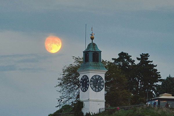 Novi Sad in Autumn and Winter