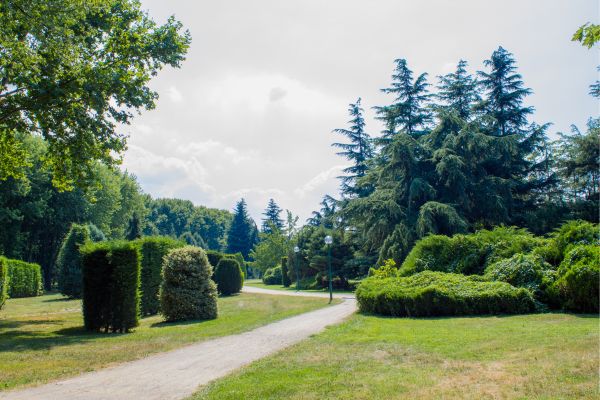 Bursa Botanical Park (Turkiye)