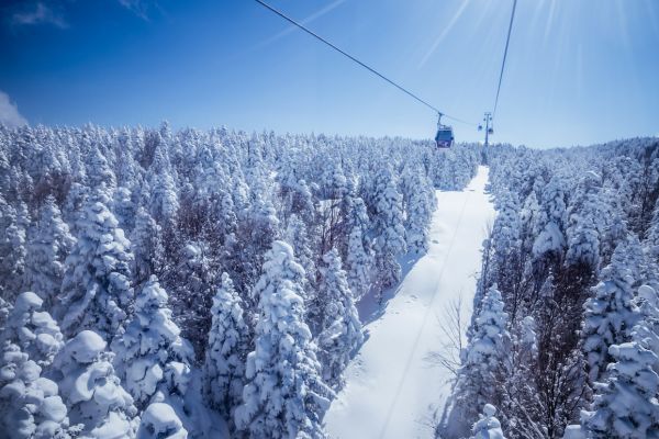 Uludag Ski Cneter and National Park (Bursa, Turkiye)