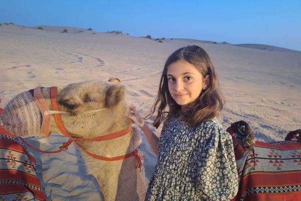 Camel Deser Dune Adventure