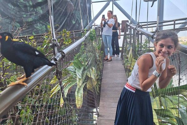 The Green Planet, Indoor rainforest (Dubai)