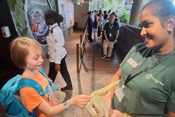 The Green Planet, Indoor rainforest (Dubai)