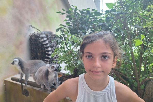 The Green Planet, Indoor rainforest (Dubai)