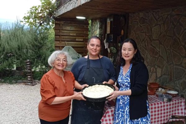 Guesthouse Pirustia Nedanoski