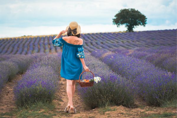 Lavander Field (Bulgaria)