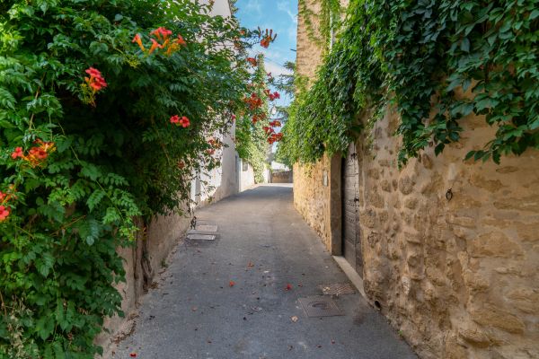 Lourmarin: Highly regarded, stylish, and artistic village in the Luberon, known for its Renaissance château, art galleries, lively cafés, and elegant streets