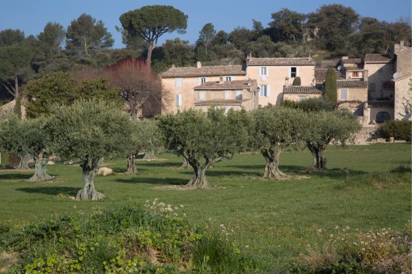 Lourmarin: Highly regarded, stylish, and artistic village in the Luberon, known for its Renaissance château, art galleries, lively cafés, and elegant streets